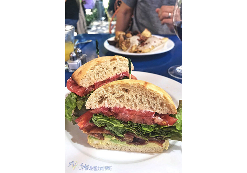 中加州脫俗優雅山城小鎮_img_5