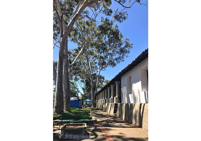 中加州脫俗優雅山城小鎮_img_10