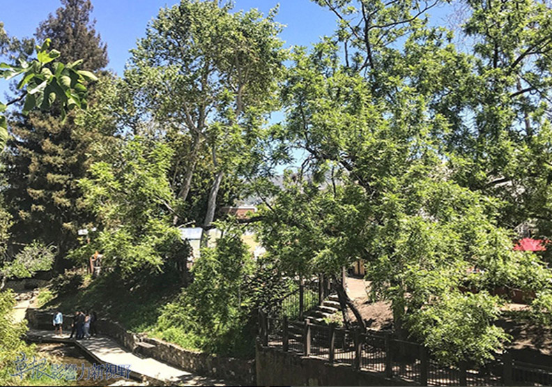 中加州脫俗優雅山城小鎮_img_16