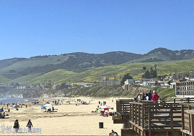 中加州脫俗優雅山城小鎮_img_29