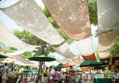 產地到餐桌 從高雄出發的安心食農