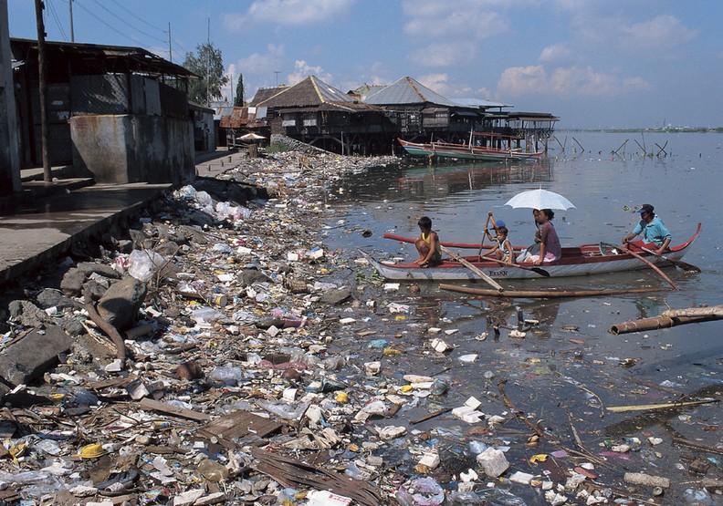 科學家警告：人類僅佔地球總生命的0.01％，卻已摧毀其他83％的物種_img_5