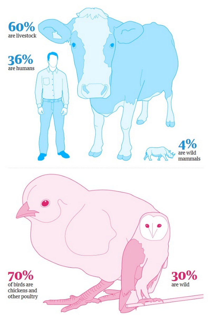 科學家警告：人類僅佔地球總生命的0.01％，卻已摧毀其他83％的物種_img_2