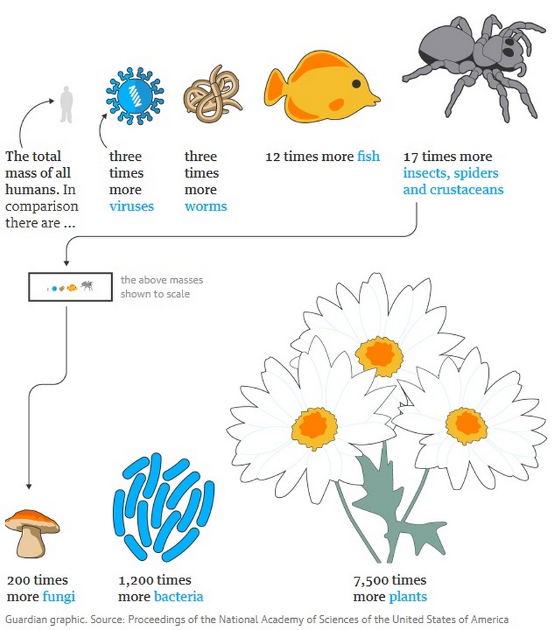 科學家警告：人類僅佔地球總生命的0.01％，卻已摧毀其他83％的物種_img_3