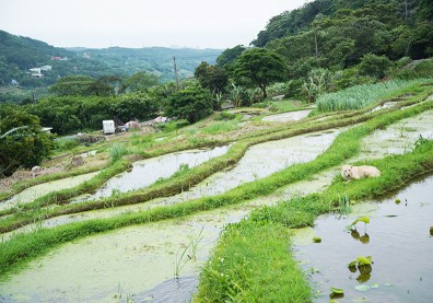振興八連溪里山文化 人與自然和諧共存