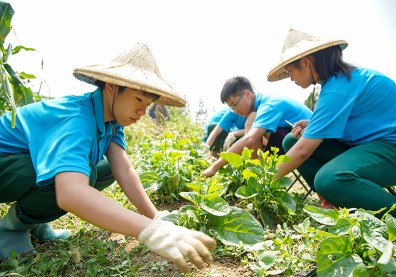 黃金水鄉風華再現 升級宜居宜農綠家園