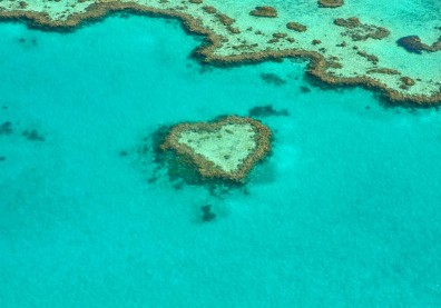 澳洲政府拚觀光 斥資5億澳幣拯救大堡礁