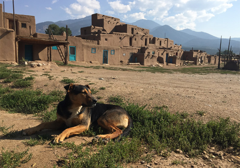 不平凡的小村落_img_14