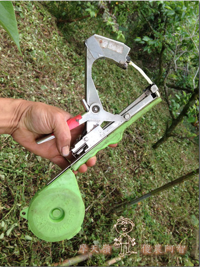 從修剪到疏花，邁向無農藥栽培第八年的開端_img_13