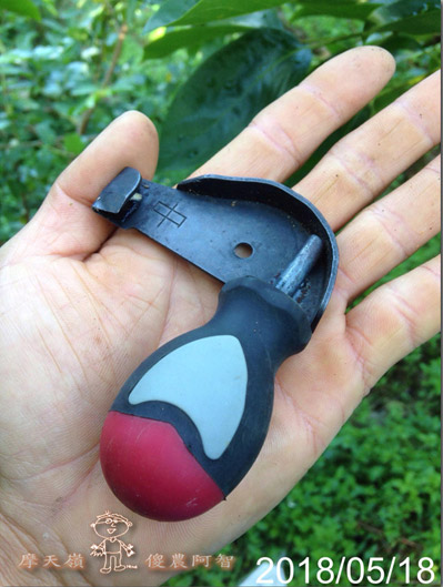 從修剪到疏花，邁向無農藥栽培第八年的開端_img_16