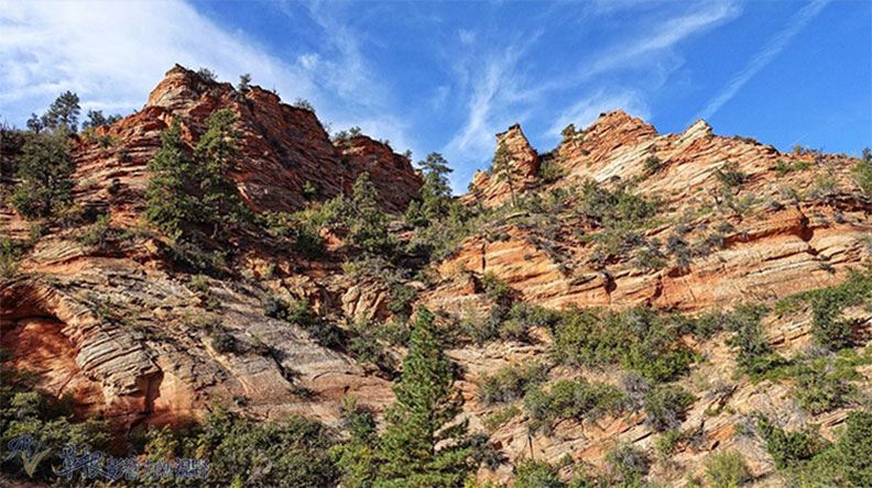 錫安國家公園經典必玩景點_img_7