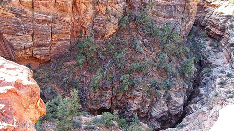 錫安國家公園經典必玩景點_img_12