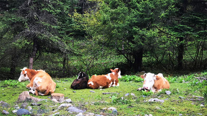 走進淳樸原生態的神木壘_img_1