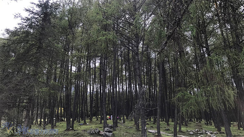 走進淳樸原生態的神木壘_img_3