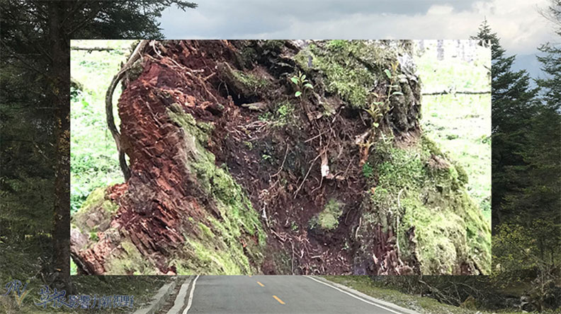 走進淳樸原生態的神木壘_img_5