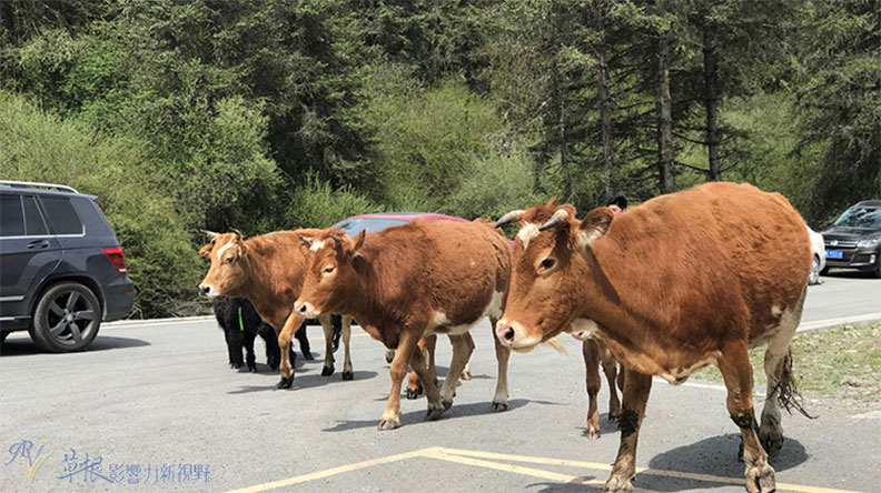 走進淳樸原生態的神木壘_img_6