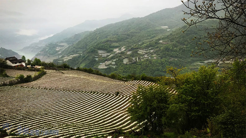 走進淳樸原生態的神木壘_img_9