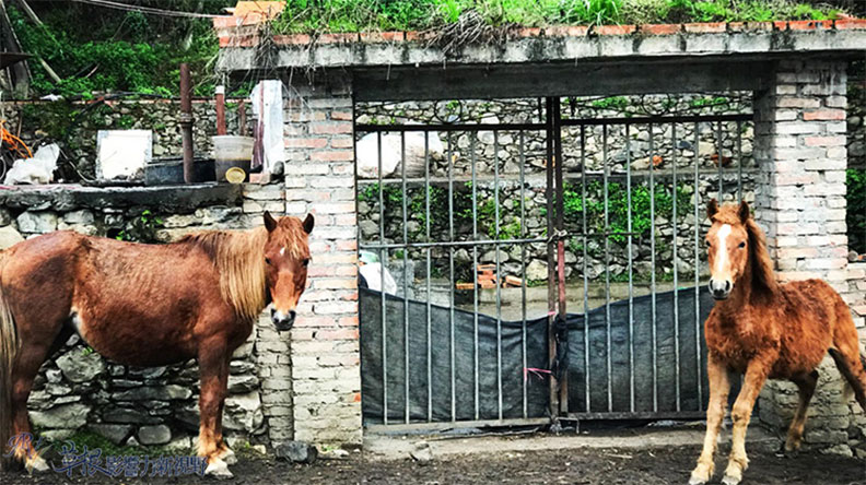 走進淳樸原生態的神木壘_img_10