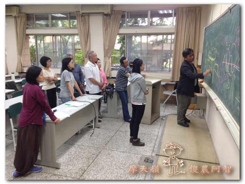 從錯誤中學習正確對待樹木的方法_img_1