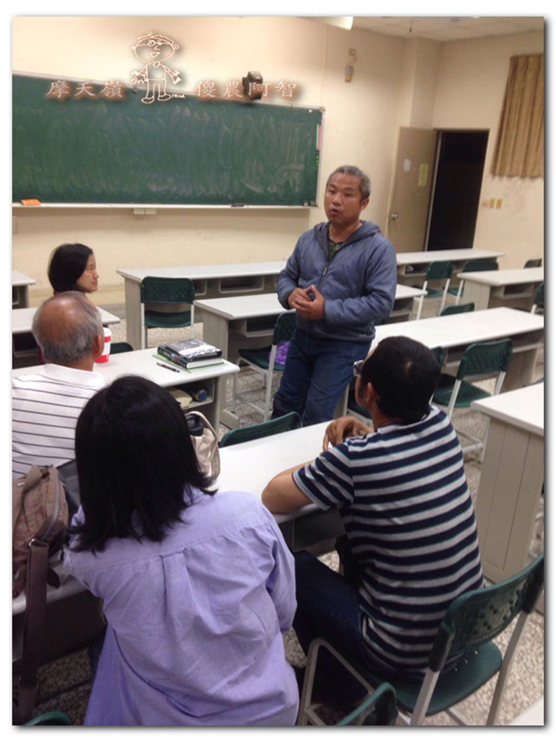 從錯誤中學習正確對待樹木的方法_img_2