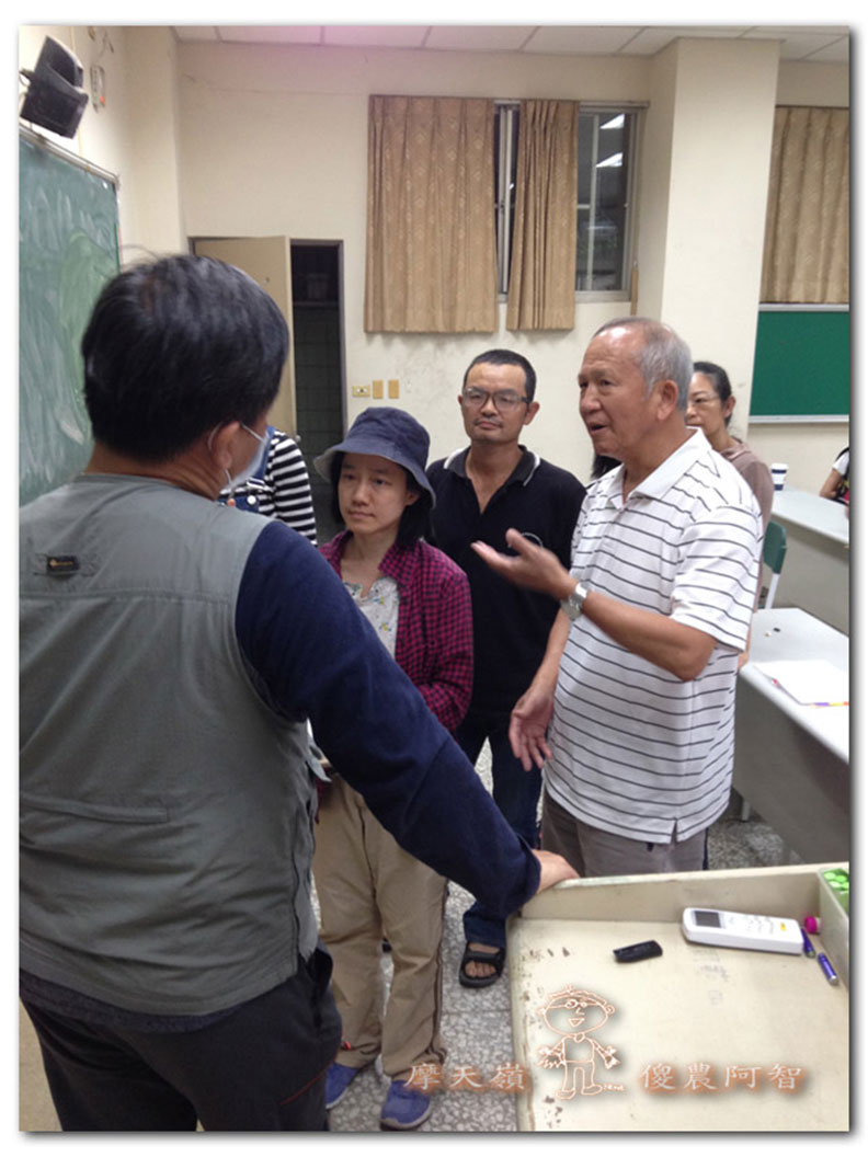 從錯誤中學習正確對待樹木的方法_img_3