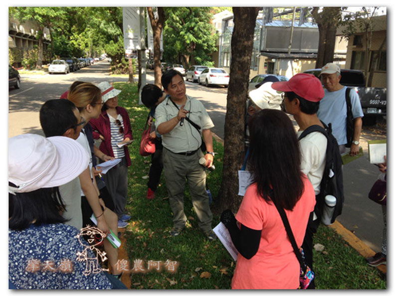 從錯誤中學習正確對待樹木的方法_img_4