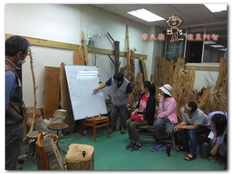 從錯誤中學習正確對待樹木的方法_img_5