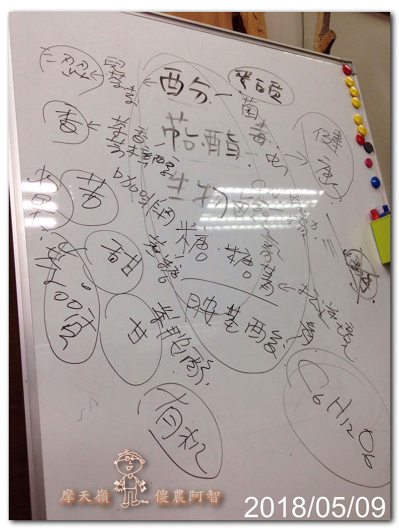 從錯誤中學習正確對待樹木的方法_img_6