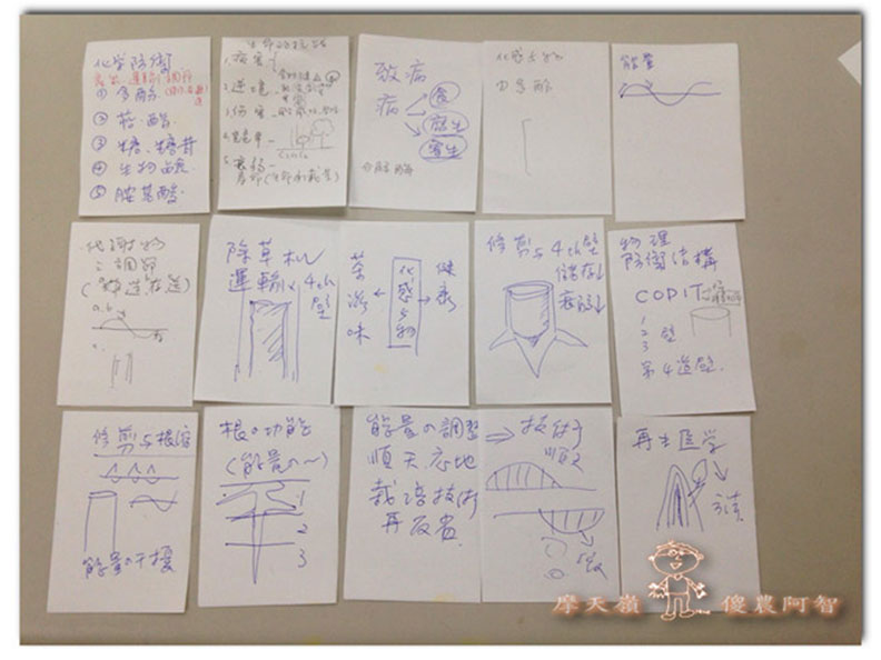 從錯誤中學習正確對待樹木的方法_img_8