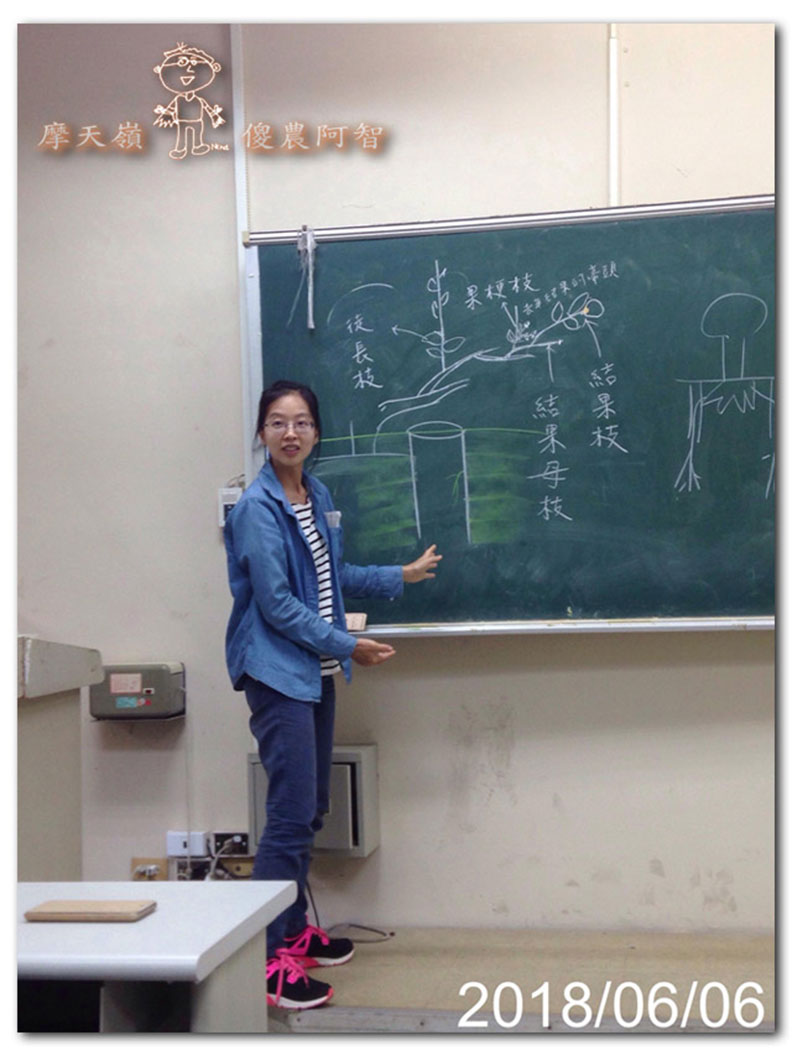 從錯誤中學習正確對待樹木的方法_img_14