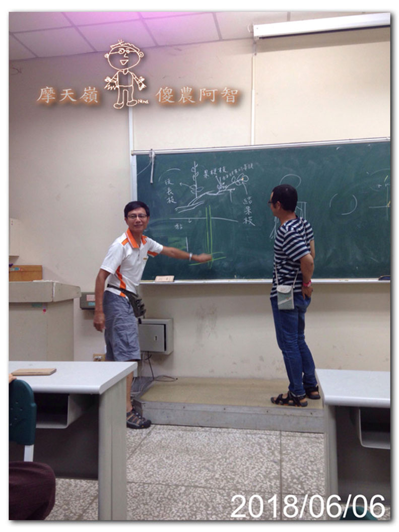 從錯誤中學習正確對待樹木的方法_img_15