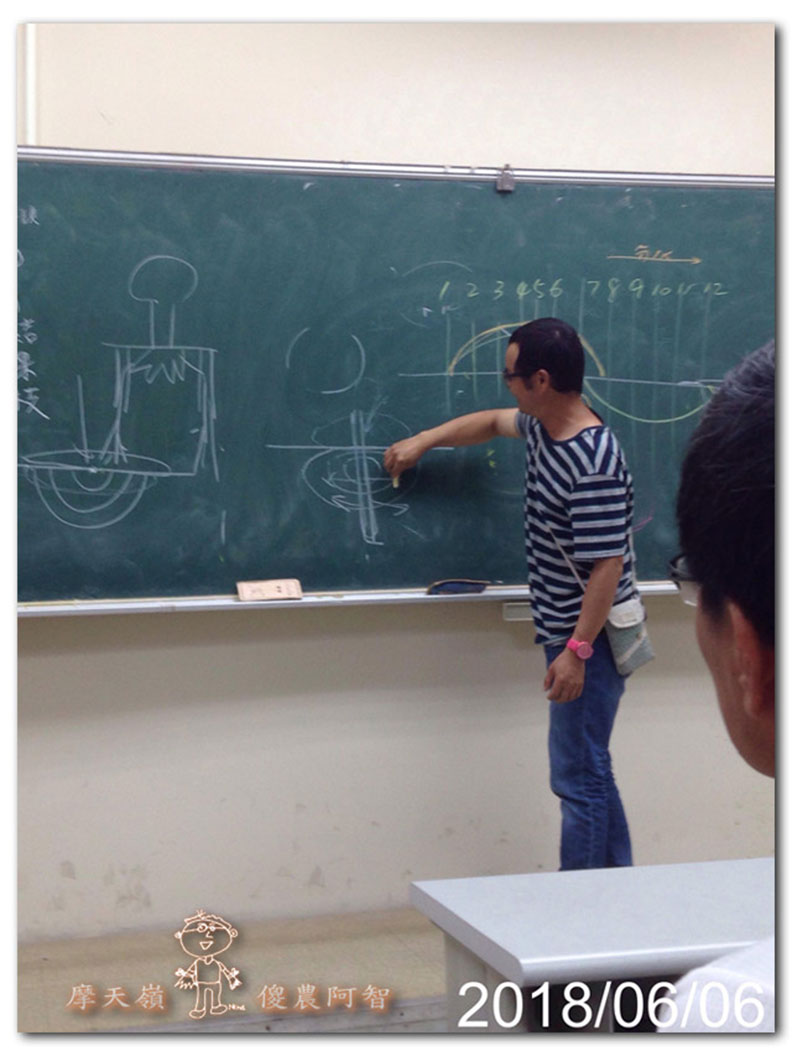 從錯誤中學習正確對待樹木的方法_img_16