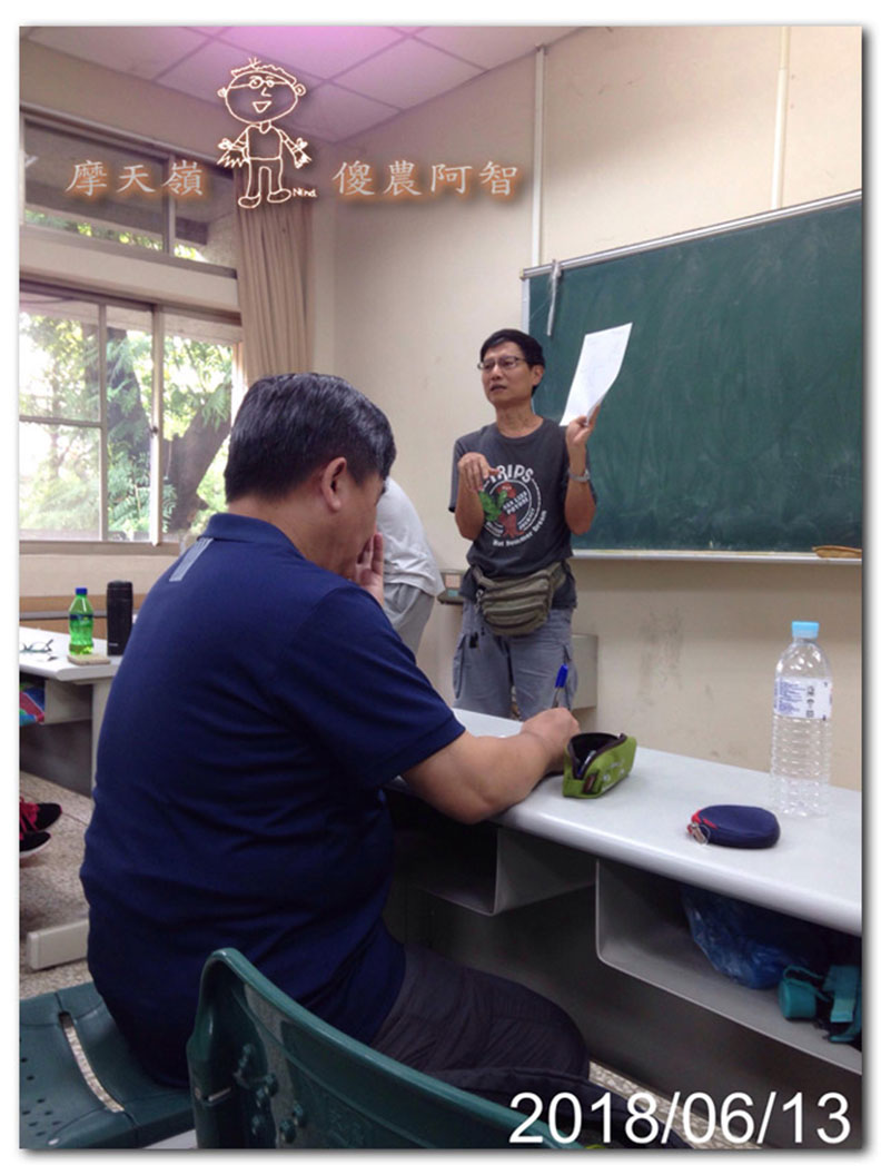 從錯誤中學習正確對待樹木的方法_img_17