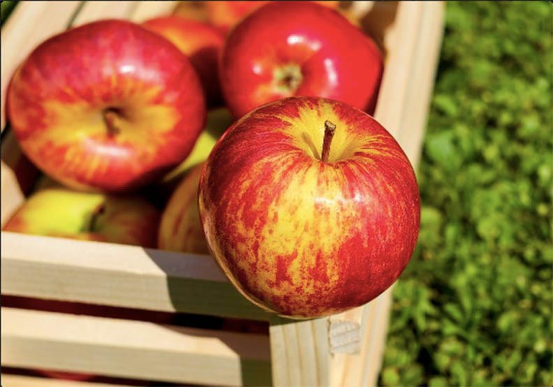 想瘦又懶動 網友愛用十大懶人減肥法_img_4