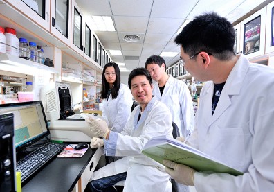 跨領域學習 長庚大學「暑期學制」上路