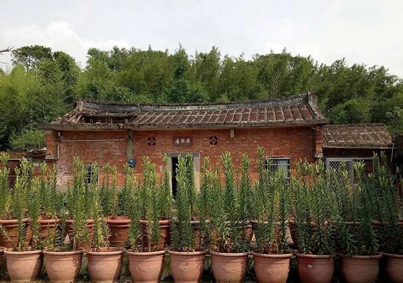 總統故鄉大退燒!她紅不到一年 這位連里都消失了_img_2