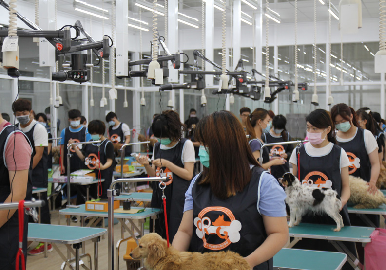 結合AI大數據的老齡仁愛關懷_img_2