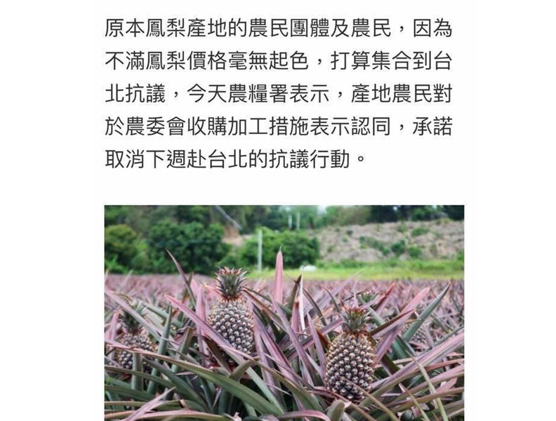 鳳梨農：政府不要發布假新聞 7/4照樣北上抗議_img_2