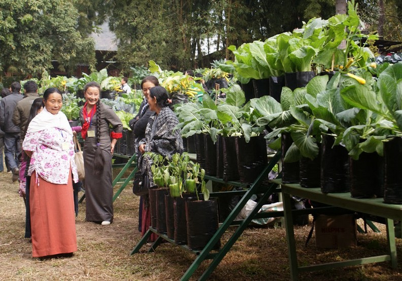 印度錫金州15年來全面禁止農藥!台灣能做到嗎?_img_4