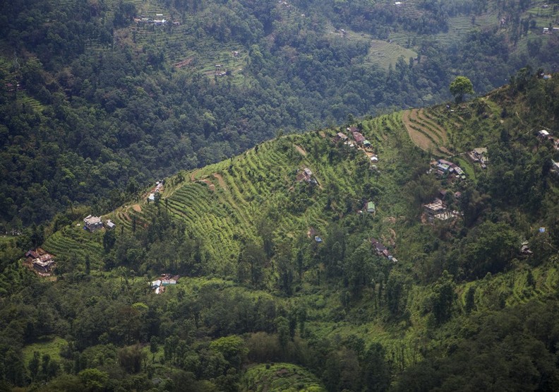印度錫金州15年來全面禁止農藥!台灣能做到嗎?_img_2