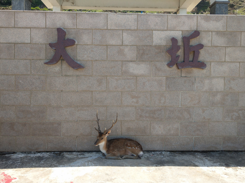 李中與家人們的馬祖散步_img_1