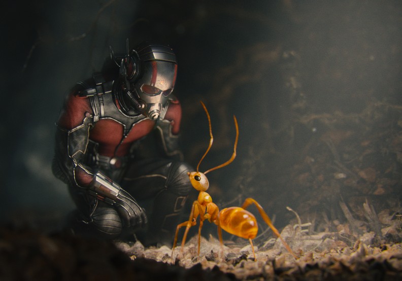 《蟻人與黃蜂女》:微觀世界最幽默的迷人魅力_img_3