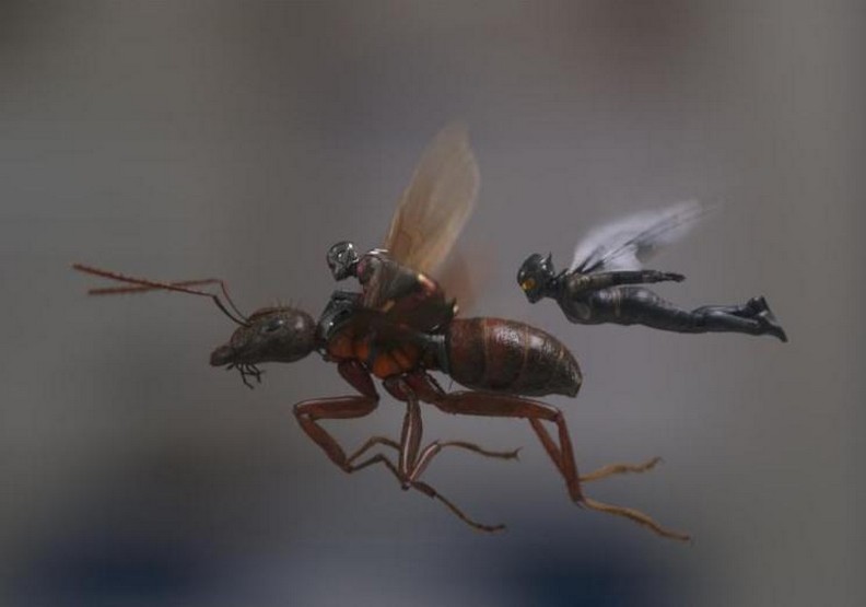 《蟻人與黃蜂女》:微觀世界最幽默的迷人魅力_img_1