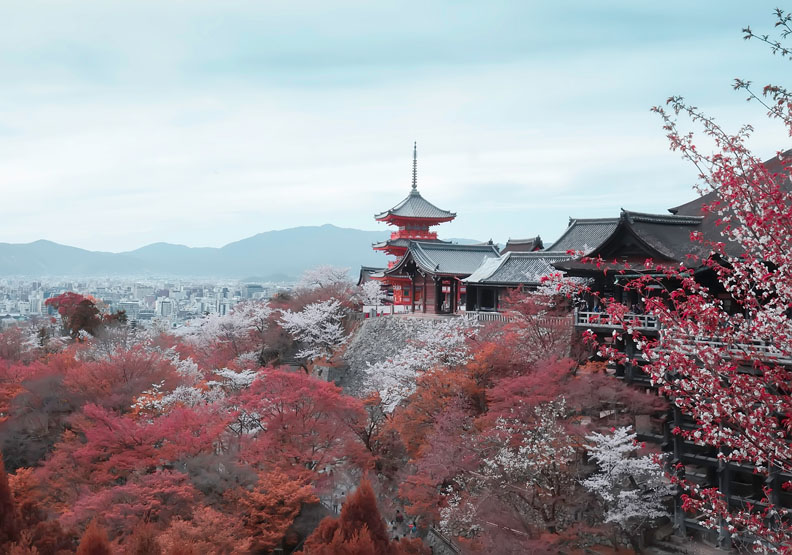 清水寺　宛如通往黃泉彼岸的通道