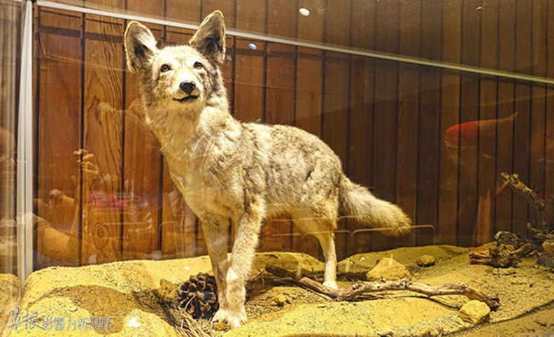 聖地牙哥卡布里歐國家紀念碑_img_28