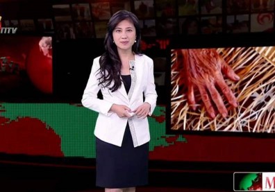 賴揆欽點發言人，她憑什麼當徐國勇的接班人？
