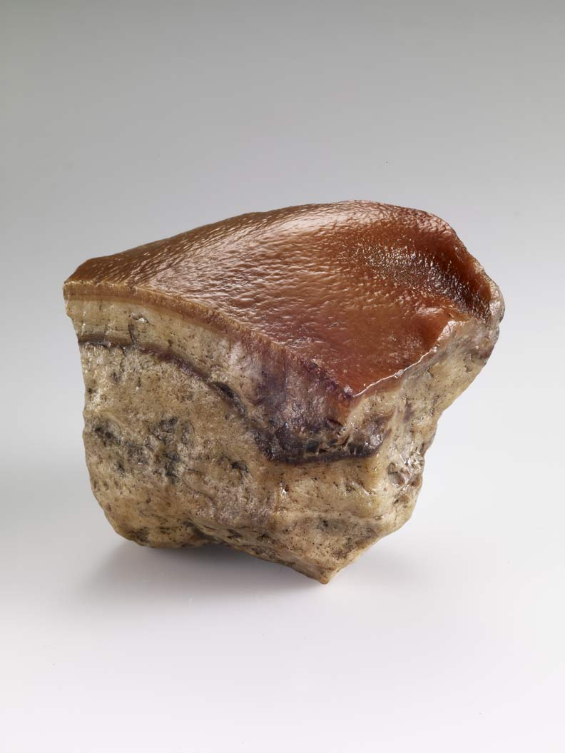 故宮院長換人做 都是翠玉白菜惹的禍_img_1