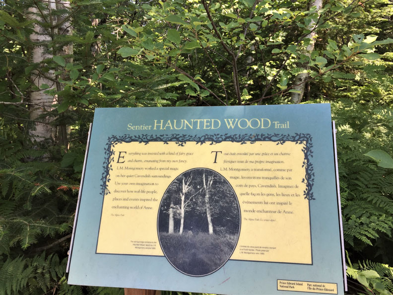 愛德華王子島　「清秀佳人」誕生地_img_12