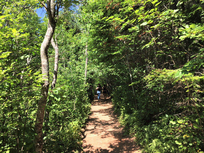 愛德華王子島　「清秀佳人」誕生地_img_13