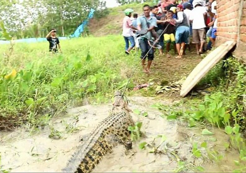 何等的荒謬？一名村民被鱷魚咬死，而他同胞屠殺近300隻鱷魚報復_img_1